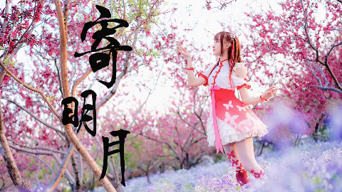 【@小萌】中国风✿寄明月✿超美的景色呀~